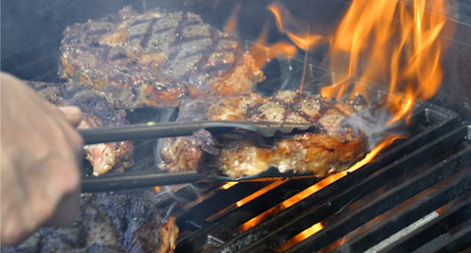 TEDsBBQ  Grillseminare   Events   Fachliteratur